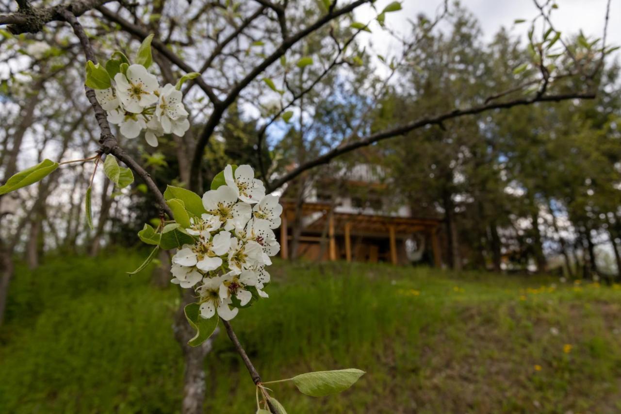 Egercottages - Csillag Cottage Екстериор снимка
